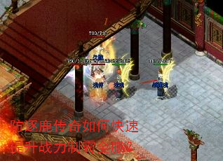 防逐鹿传奇如何快速提升战力制霸全服? 防逐鹿传奇如何快速提升战力制霸全服?