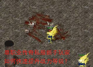单职业传奇私服新手玩家如何快速提升战力等级? 单职业传奇私服新手玩家如何快速提升战力等级?