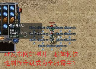 sf发布网站刚开一秒如何快速刷怪升级成为全服霸主? sf发布网站刚开一秒如何快速刷怪升级成为全服霸主?