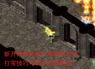 新开传奇私服中有哪些高效打宝技巧与职业选择建议? 新开传奇私服中有哪些高效打宝技巧与职业选择建议?