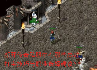 新开传奇私服中有哪些高效打宝技巧与职业选择建议? 新开传奇私服中有哪些高效打宝技巧与职业选择建议?