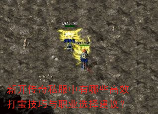 新开传奇私服中有哪些高效打宝技巧与职业选择建议? 新开传奇私服中有哪些高效打宝技巧与职业选择建议?