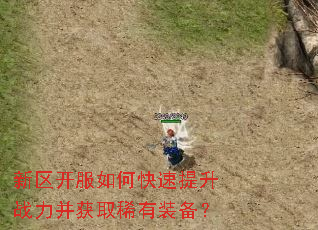 新区开服如何快速提升战力并获取稀有装备? 新区开服如何快速提升战力并获取稀有装备?