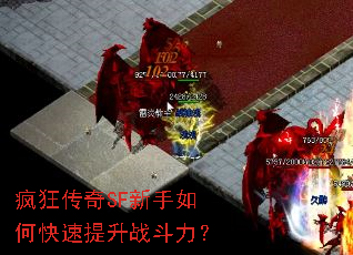 疯狂传奇SF新手如何快速提升战斗力? 疯狂传奇SF新手如何快速提升战斗力?