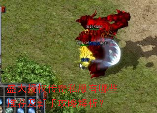 盛大授权传奇私服有哪些推荐及新手攻略解析? 盛大授权传奇私服有哪些推荐及新手攻略解析?