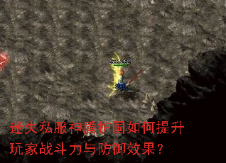 迷失私服神盾护国如何提升玩家战斗力与防御效果? 迷失私服神盾护国如何提升玩家战斗力与防御效果?