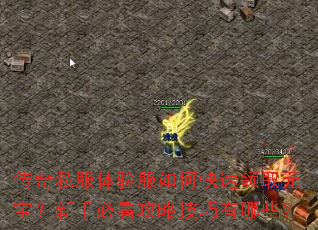 传奇私服体验服如何快速领取元宝?新手必看攻略技巧有哪些? 传奇私服体验服如何快速领取元宝?新手必看攻略技巧有哪些?