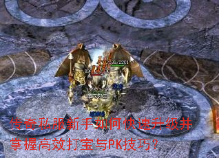 传奇私服新手如何快速升级并掌握高效打宝与PK技巧? 传奇私服新手如何快速升级并掌握高效打宝与PK技巧?