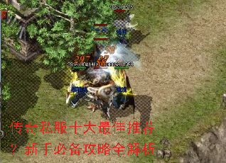 传奇私服十大最佳推荐?新手必备攻略全解析 传奇私服十大最佳推荐?新手必备攻略全解析
