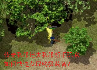 传奇私服迷失私服新手玩家如何快速获取终极装备? 传奇私服迷失私服新手玩家如何快速获取终极装备?