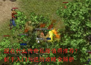 现在什么传奇私服值得推荐?新手入门与进阶攻略全解析 现在什么传奇私服值得推荐?新手入门与进阶攻略全解析