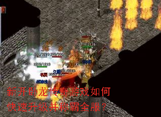 新开卧龙传奇游戏如何快速升级并称霸全服? 新开卧龙传奇游戏如何快速升级并称霸全服?