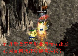�¿�����̬��ְҵ����˽����������ο���ˢװ���弶��