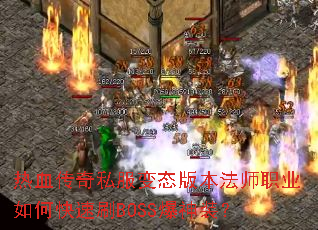 ��Ѫ����˽����̬�汾��ʦְҵ��ο���ˢBOSS����װ��