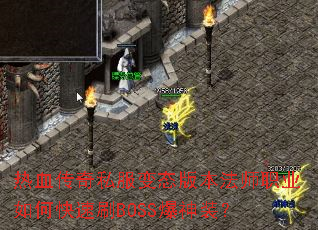 ��Ѫ����˽����̬�汾��ʦְҵ��ο���ˢBOSS����װ��