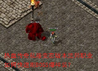 ��Ѫ����˽����̬�汾��ʦְҵ��ο���ˢBOSS����װ��