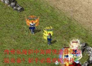 传奇私服群中如何快速获取顶级装备?新手必看攻略解析 传奇私服群中如何快速获取顶级装备?新手必看攻略解析