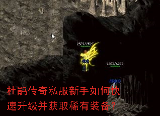 杜鹃传奇私服新手如何快速升级并获取稀有装备? 杜鹃传奇私服新手如何快速升级并获取稀有装备?