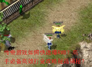 传奇游戏如何快速爆RMB?高手必备高效打金攻略秘籍揭秘? 传奇游戏如何快速爆RMB?高手必备高效打金攻略秘籍揭秘?