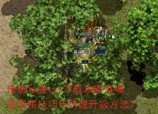传奇私服txt下载攻略有哪些实用技巧与快速升级方法? 传奇私服txt下载攻略有哪些实用技巧与快速升级方法?