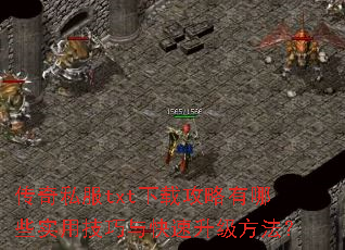 传奇私服txt下载攻略有哪些实用技巧与快速升级方法? 传奇私服txt下载攻略有哪些实用技巧与快速升级方法?