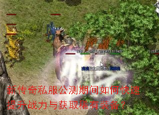 新传奇私服公测期间如何快速提升战力与获取稀有装备? 新传奇私服公测期间如何快速提升战力与获取稀有装备?