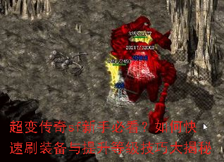 ���䴫��sf���ֱؿ�����ο���ˢװ���������ȼ����ɴ����
