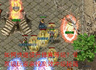 如何快速提升修真等级?骨灰级玩家亲授高效冲级秘籍 如何快速提升修真等级?骨灰级玩家亲授高效冲级秘籍