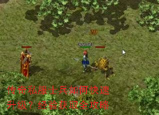 传奇私服士兵如何快速升级?经验获取全攻略 传奇私服士兵如何快速升级?经验获取全攻略