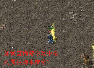 如何查询游咏戏中最高属性脚本传奇? 如何查询游咏戏中最高属性脚本传奇?