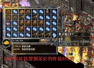 如何挑战狐狸洞深处的终极BOSS? 如何挑战狐狸洞深处的终极BOSS?