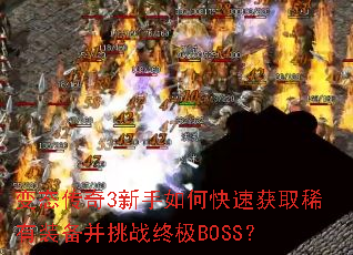 变态传奇3新手如何快速获取稀有装备并挑战终极BOSS? 变态传奇3新手如何快速获取稀有装备并挑战终极BOSS?