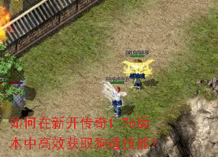 如何在新开传奇1.76版本中高效获取狗道技能? 如何在新开传奇1.76版本中高效获取狗道技能?
