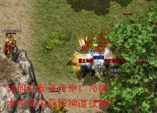 如何在新开传奇1.76版本中高效获取狗道技能? 如何在新开传奇1.76版本中高效获取狗道技能?