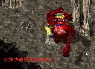 如何快速提升道士等级? 如何快速提升道士等级?