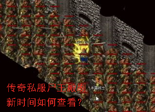 ����˽��ʬ����ˢ��ʱ����β鿴��