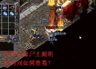 ����˽��ʬ����ˢ��ʱ����β鿴��
