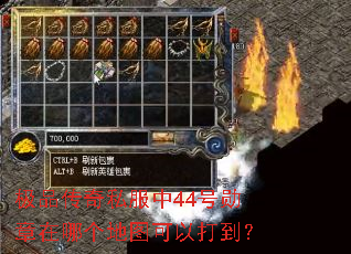 极品传奇私服中44号勋章在哪个地图可以打到? 极品传奇私服中44号勋章在哪个地图可以打到?