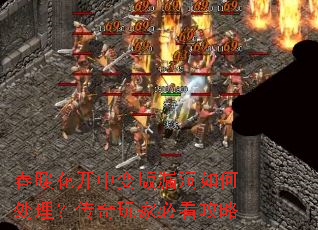 春暖花开中变版漏洞如何处理?传奇玩家必看攻略 春暖花开中变版漏洞如何处理?传奇玩家必看攻略