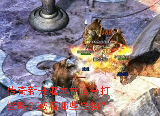 传奇新开灌木林适合打怪吗?藏着哪些怪物? 传奇新开灌木林适合打怪吗?藏着哪些怪物?