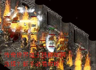 传奇世界道士技能如何选择?新手必看攻略 传奇世界道士技能如何选择?新手必看攻略