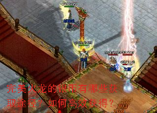 完美火龙的银币有哪些获取途径?如何高效获得? 完美火龙的银币有哪些获取途径?如何高效获得?