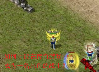 如何才能在传奇游戏中成为一名出色的战士? 如何才能在传奇游戏中成为一名出色的战士?