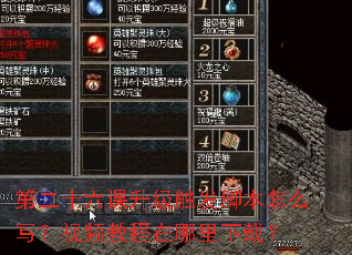 �ڶ�ʮ�������������ű���ôд����Ƶ�̳����������أ�