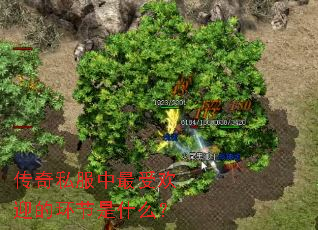 传奇私服中最受欢迎的环节是什么? 传奇私服中最受欢迎的环节是什么?