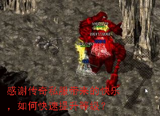 感谢传奇私服带来的快乐,如何快速提升等级? 感谢传奇私服带来的快乐,如何快速提升等级?