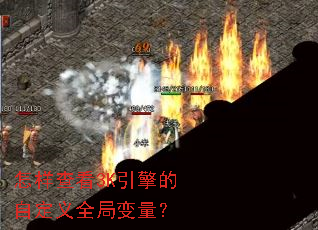 怎样查看3K引擎的自定义全局变量? 怎样查看3K引擎的自定义全局变量?