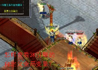 怎样查看3K引擎的自定义全局变量? 怎样查看3K引擎的自定义全局变量?