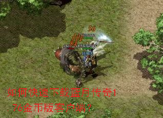 如何快速下载蓝月传奇1.76金币版客户端? 如何快速下载蓝月传奇1.76金币版客户端?