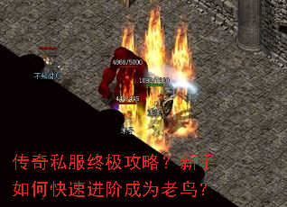 传奇私服终极攻略?新手如何快速进阶成为老鸟? 传奇私服终极攻略?新手如何快速进阶成为老鸟?